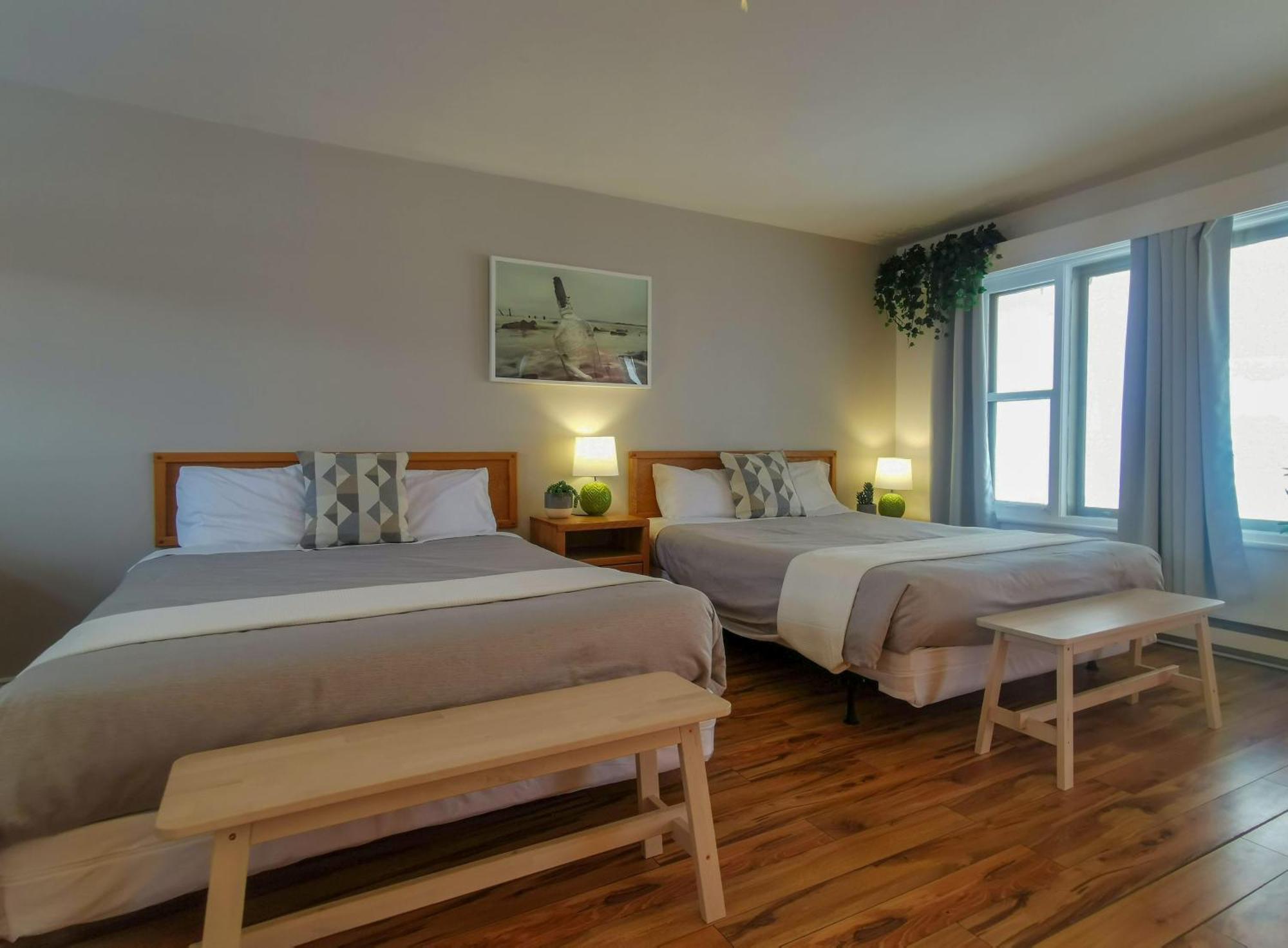 Мотель Lofts Fleuve Et Montagnes Сент-Анн-де-Бопре Экстерьер фото